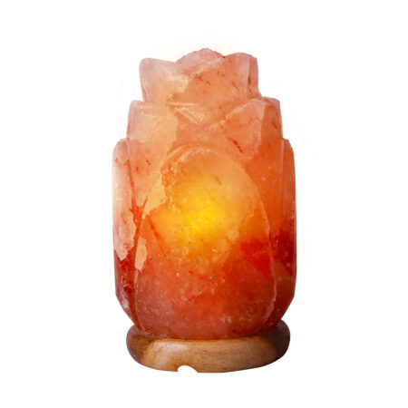 Himalayan Salt Lamp ( Flower Shape )