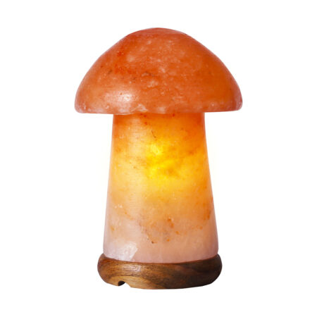 Himalayan Salt Lamp ( Mushroom Shape )